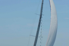 d2d-2013_0240
