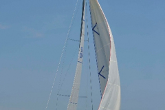 d2d-2013_0249