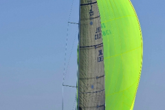 d2d-2013_0308