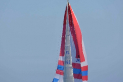 d2d-2013_0315